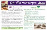 The Scoop ~ December 2015 Edition