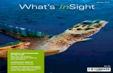What's inSight Winter 2016