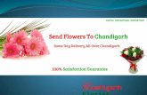 Online flowers delivery to chandigarh