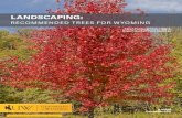 B-1090R Wyoming Landscaping: Recommended Trees