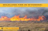 B-1271 Wildland Fire in Wyoming: Patterns, Influences, and Effects