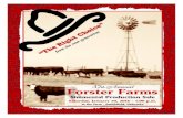 Forster Farms 2016 Simmental Production Sale