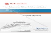 Caledonian Câbles Offshore & Marine NORME NEK606