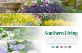 Southern Living Plant Collection 2016 Brochure
