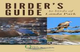 Birder's Guide to birds of Landa Park