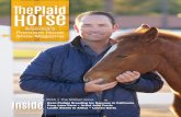 The Plaid Horse - Jan/Feb 2016 - The Stallion Issue