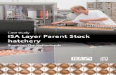 ISA Layer Parent stock hatchery