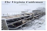 The Virginia Cattlemen January 2016