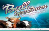 Bull Spectrum Simmental Sale 2016