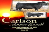 Carlson Angus Ranch 2016 Production Sale Catalog