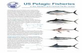 Pelagic Fisheries Factsheet 2014