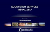 Ecosystem Services Visualized