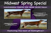 Midwest Spring Special