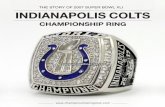 2007 Indianapolis Colts Super Bowl XLI Champ
