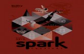 2016 Spark Festival