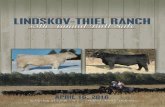 Lindskov-Thiel Ranch 35th Annual Bull Sale