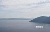 Tribu catalogue2016 rt