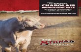 T and S Strnad Charolais 2016 Production Sale