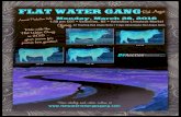 Flat Water Gang 2016 Production Sale