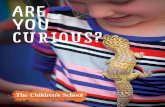 The Children's School - Are You Curious?