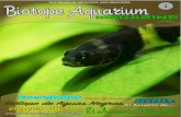 Biotope Aquarium Magazine Nº1