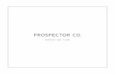 Prospector Co. Marketing Plan