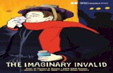 The imaginary invalid program