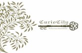 Live luxary life with curiocity a city of antique architecture