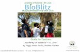 BioBlitz Guide for Teachers