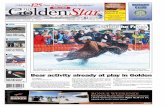 Golden Star, April 06, 2016