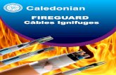Câble Ignifuge-Pvc flame retardant cable