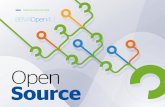 Ebook: Open Source (English)