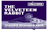 The Velveteen Rabbit - teacher resources