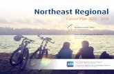 Northeast Regional Cancer Plan 2015 - 2019