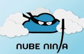 Nube Ninja - Curriculum Vitae