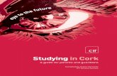 Studying in Cork