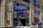 Acadia's Chicago Gold Coast Collection