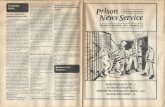 Prison News Service, No. 33 November/December 1991