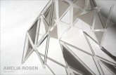 Rosen Amelia | Selected Work