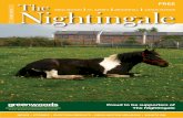 Nightingale June 2016 Edition