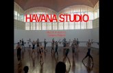 HAVANA studio: Field trip 2016 presentation in Havana, Complex Projects, TU Delft