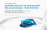 Exhibition: Enhancement: Making Sense
