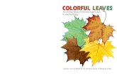 Colorful Leaves A Coloring Book