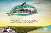 Tourist Guide | Monfragüe Biosphere Reserve (english)