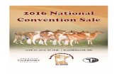 National Guernsey Convention Sale 2016
