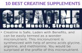 Mouzlo.com | Top 10 Best Creatine Supplements