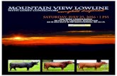 Mountain View Lowline 2016 Complete Dispersal Sale