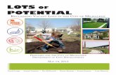 Reclaiming Vacant Lots