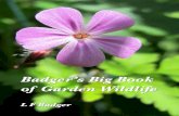 Badger's Big Book of Garden Wildlife