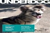 Underdog issue 18